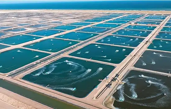 حضور عمان در مجمع جهانی شیلات، نمایشگاه غذاهای دریایی