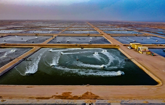 حضور عمان در جشن روز جهانی شیلات