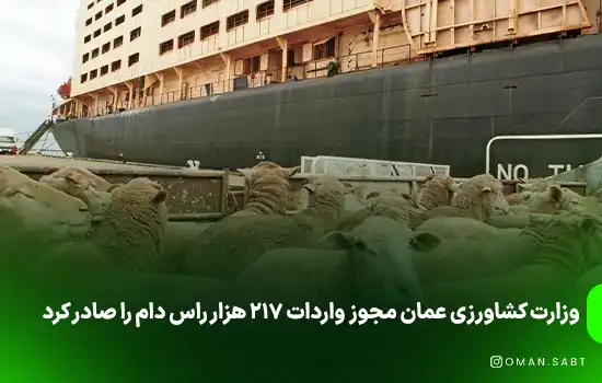 وزارت کشاورزی عمان مجوز واردات ۲۱۷ هزار و ۳۷۰ راس دام را صادر کرد
