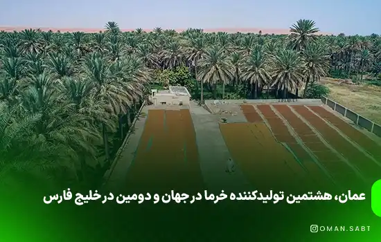 عمان: قطب تولید خرما در خلیج فارس